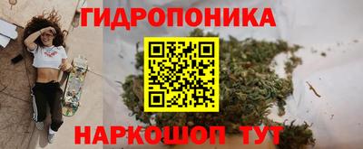 эйфоретик Коммунар