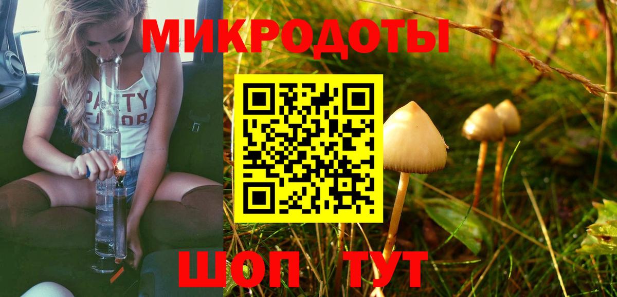 Галлюциногенные грибы мухоморы Кашира
